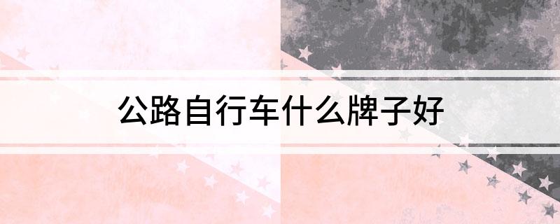 NG体育官网app公路自行车什么牌子好(图1)