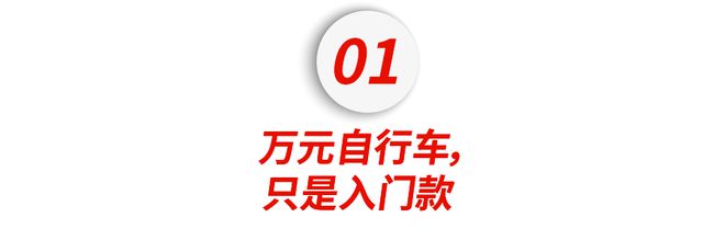 NG体育官网app在北京你已经买不起自行车了(图4)