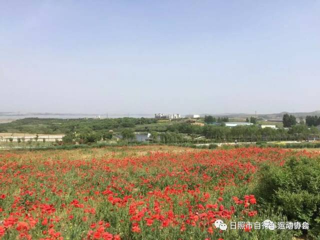 “花海湿地秀美西湖”日照首届乡村定向体验游骑行活动方案NG体育官网app(图2)