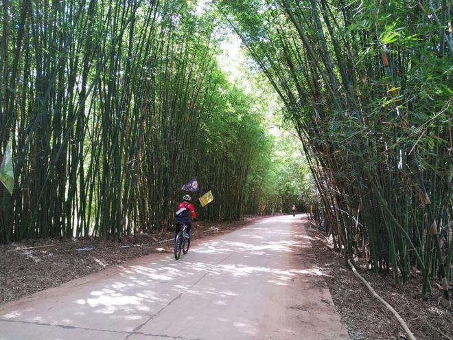 NG体育官网app骑行重视程度和效果成正比——让你的骑行之旅更加精彩(图2)